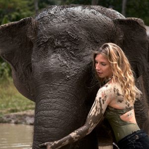 Paket Tur Memandikan Gajah Di Bali Zoo Dan Air Terjun