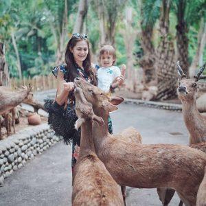 Bali Zoo Ticket With Private Car Service